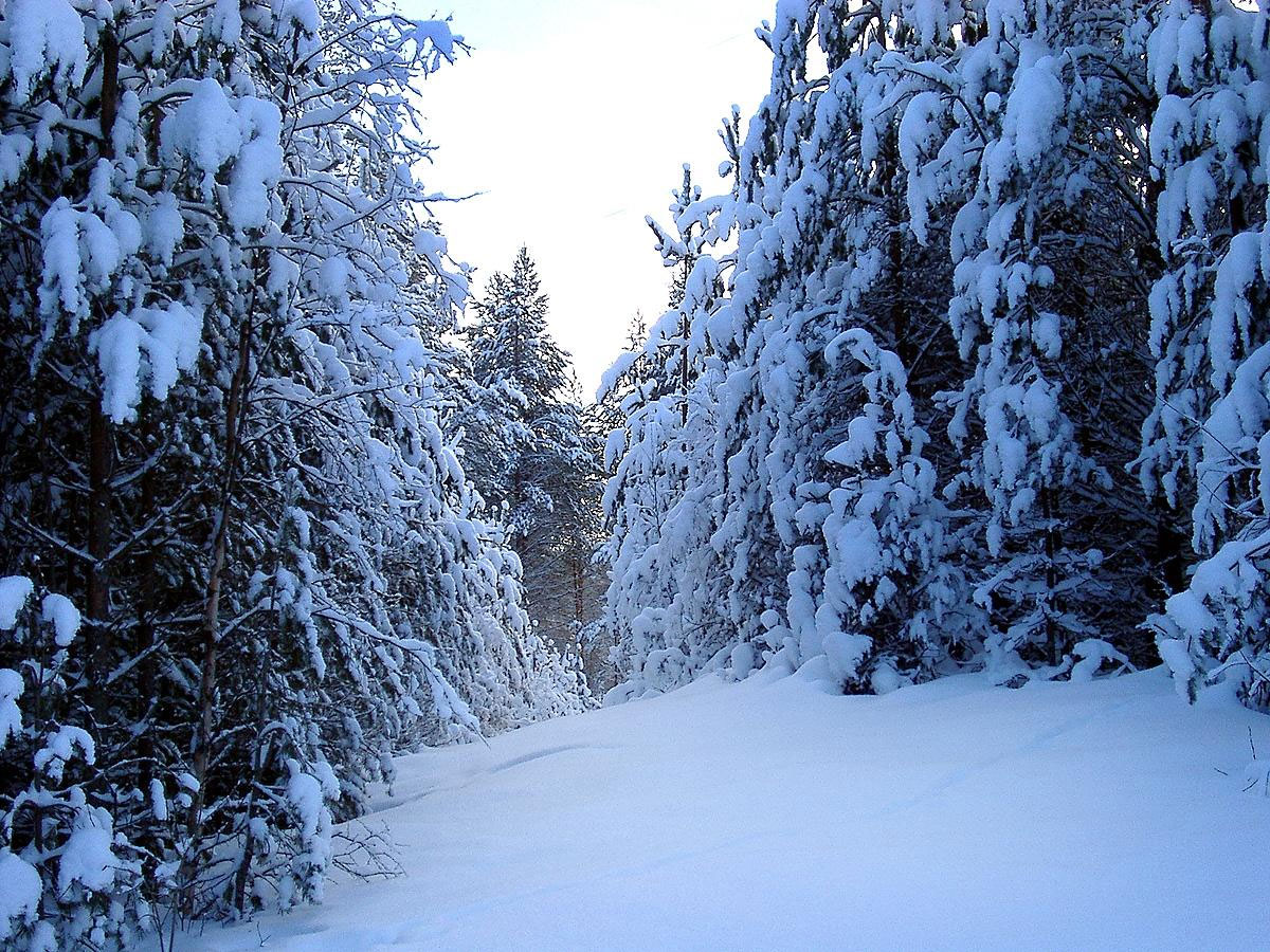 X-Country Skiing | Minnesota Family Resorts - Little ...